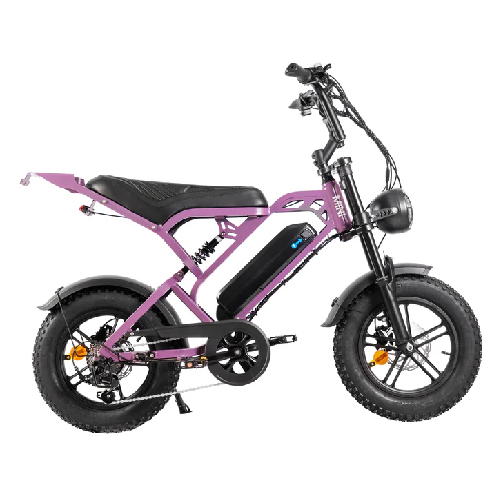 V20 Pro mini Fatbike nu Inclusief Gratis Voetsteuntjes, Tas En Pomp