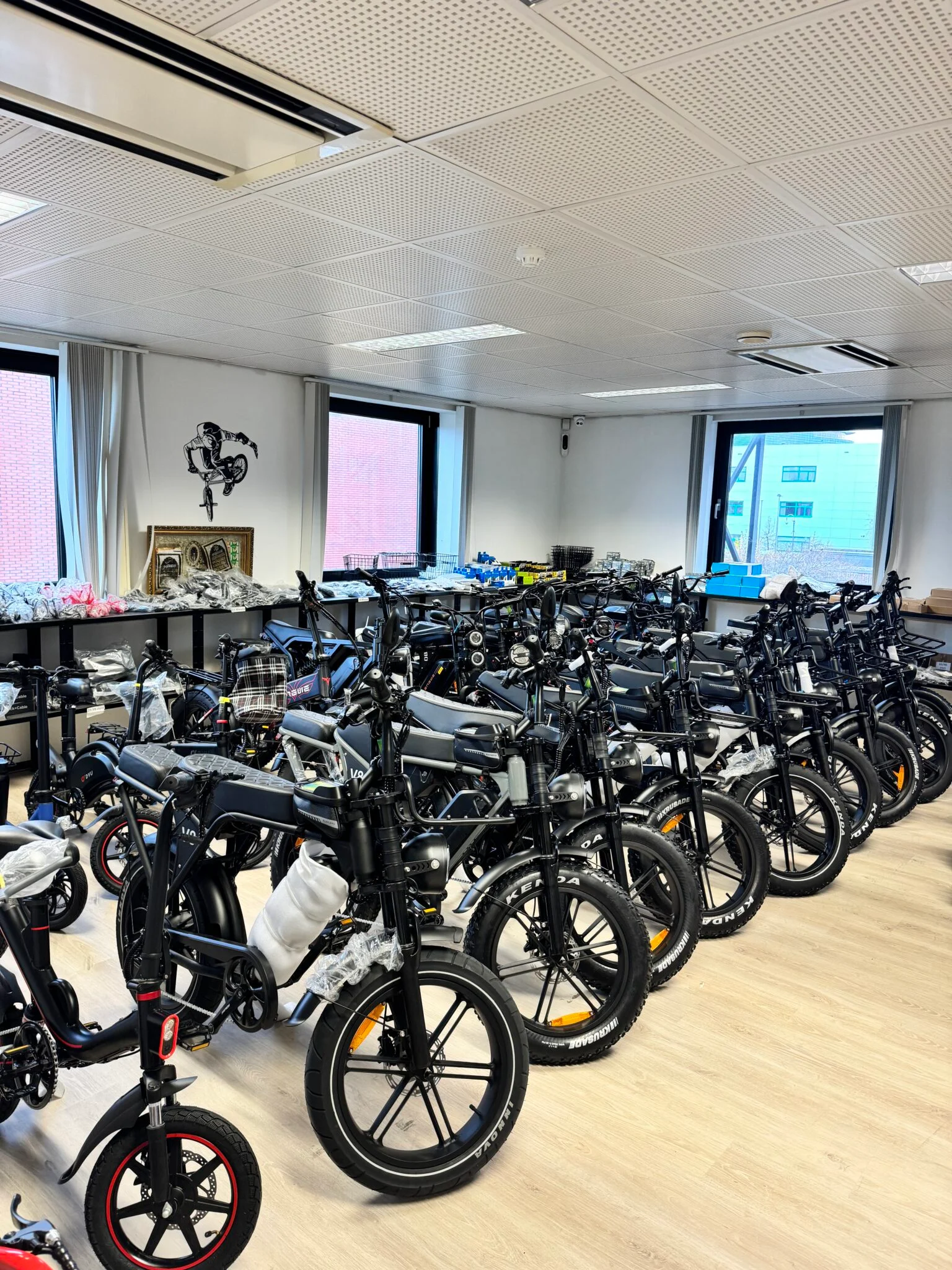 Fatbikes