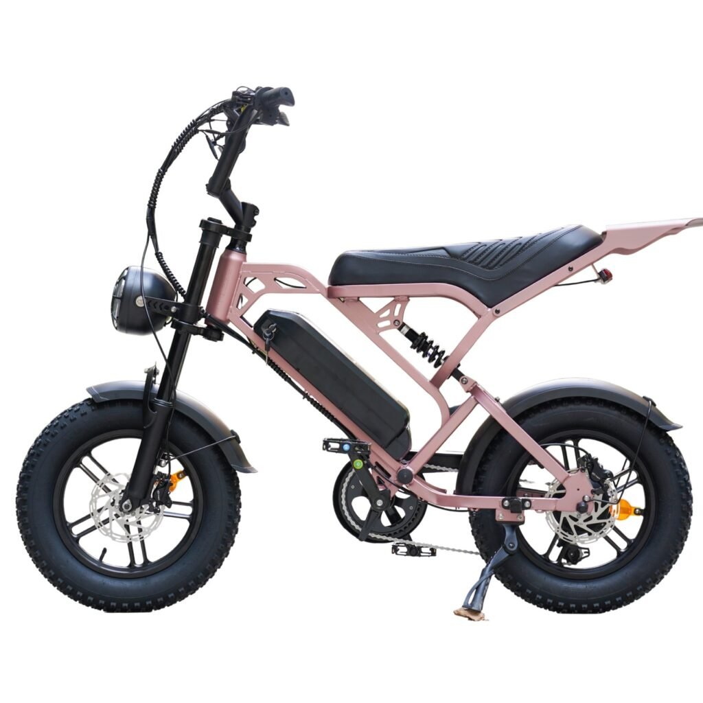 V20 Pro mini Fatbike nu Inclusief Gratis Voetsteuntjes, Tas En Pomp