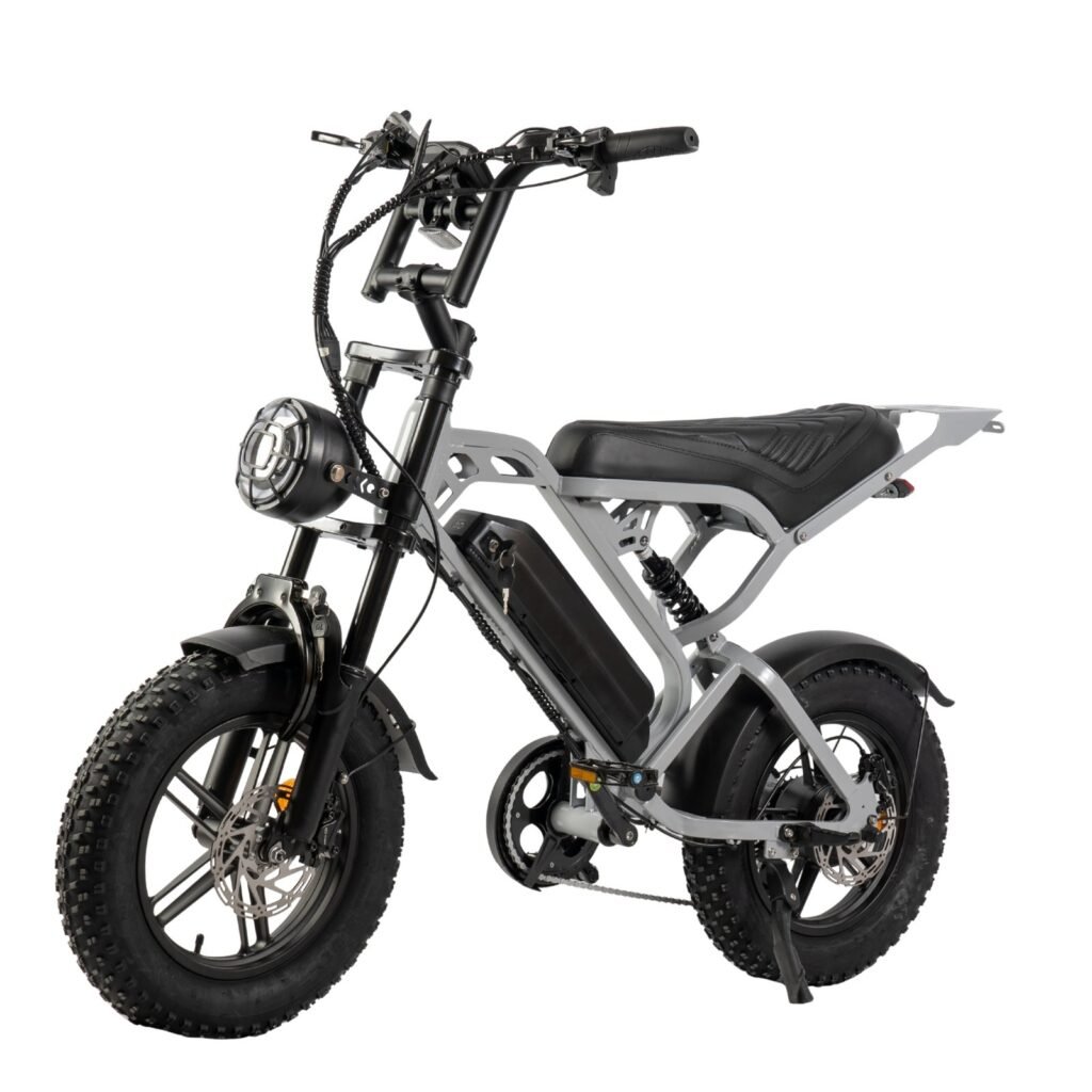 V20 Pro mini Fatbike nu Inclusief Gratis Voetsteuntjes, Tas En Pomp