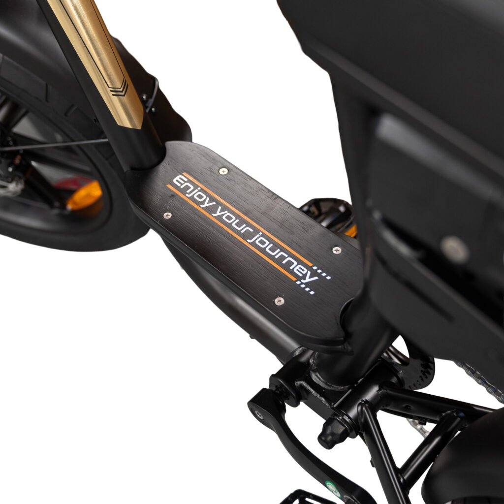 V20 Comfort 2026 Edition Dames Family Fatbike