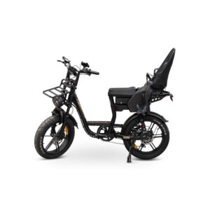 V20 Comfort 2026 Edition Dames Family Fatbike