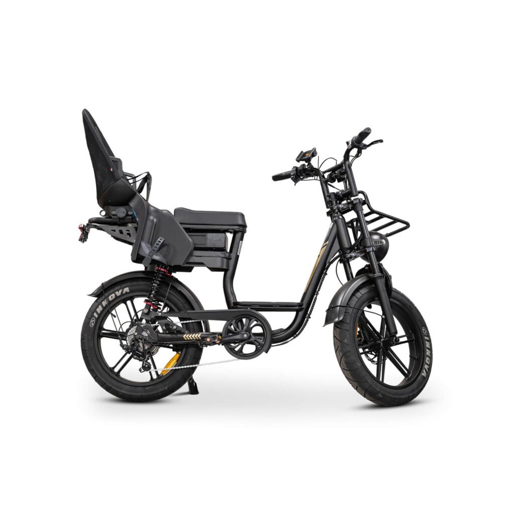V20 Comfort 2026 Edition Dames Family Fatbike