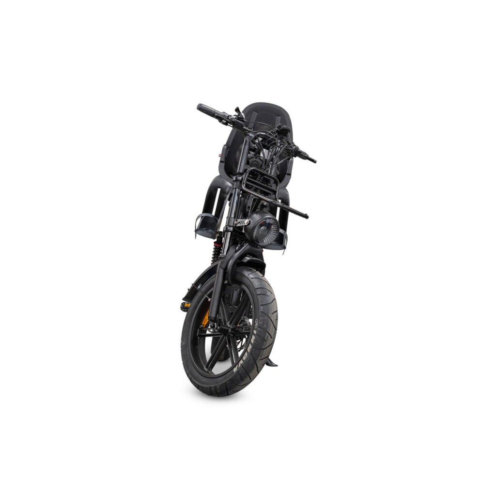 V20 Comfort 2026 Edition Dames Family Fatbike
