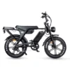 Ouxi V8 Max Family Bike 2026 Special Edition - Dubbele Accu, Inclusief Voor- en Achter Kinderzitje & Windscherm